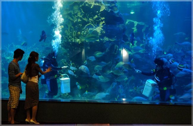 Thủy cung Vinpearl Aquarium Times City