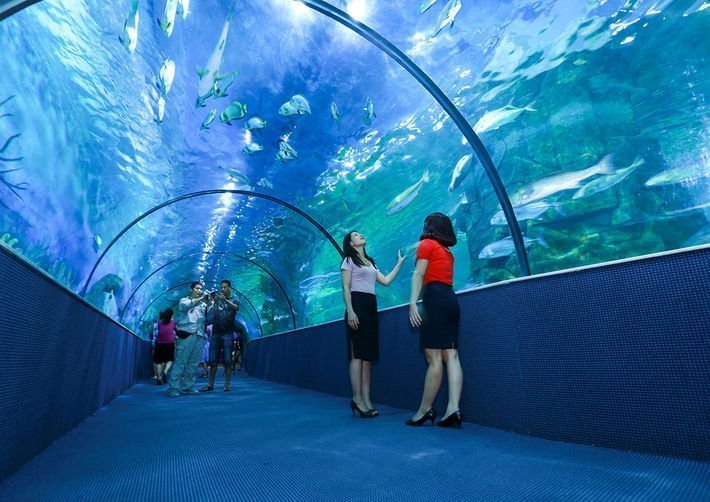 Bảo tàng biển dự án sân bay Nha Trang