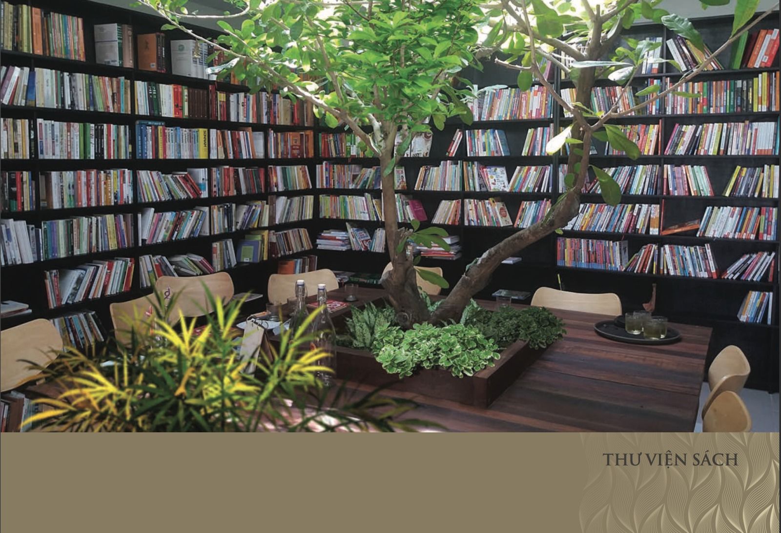 Thư viện sách của dự án Núi Trúc Square