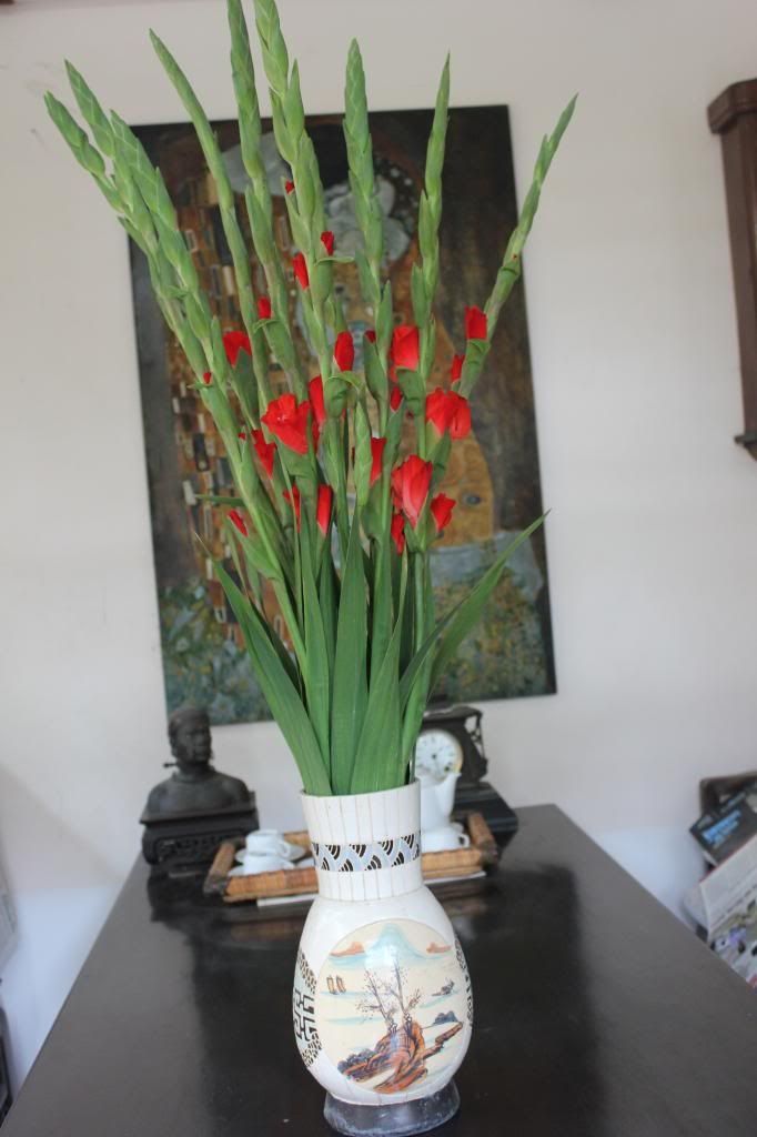 Hoa lay ơn tươi lâu, kiểu dáng đẹp mang ý nghĩa tốt thích hợp đặt bàn thờ