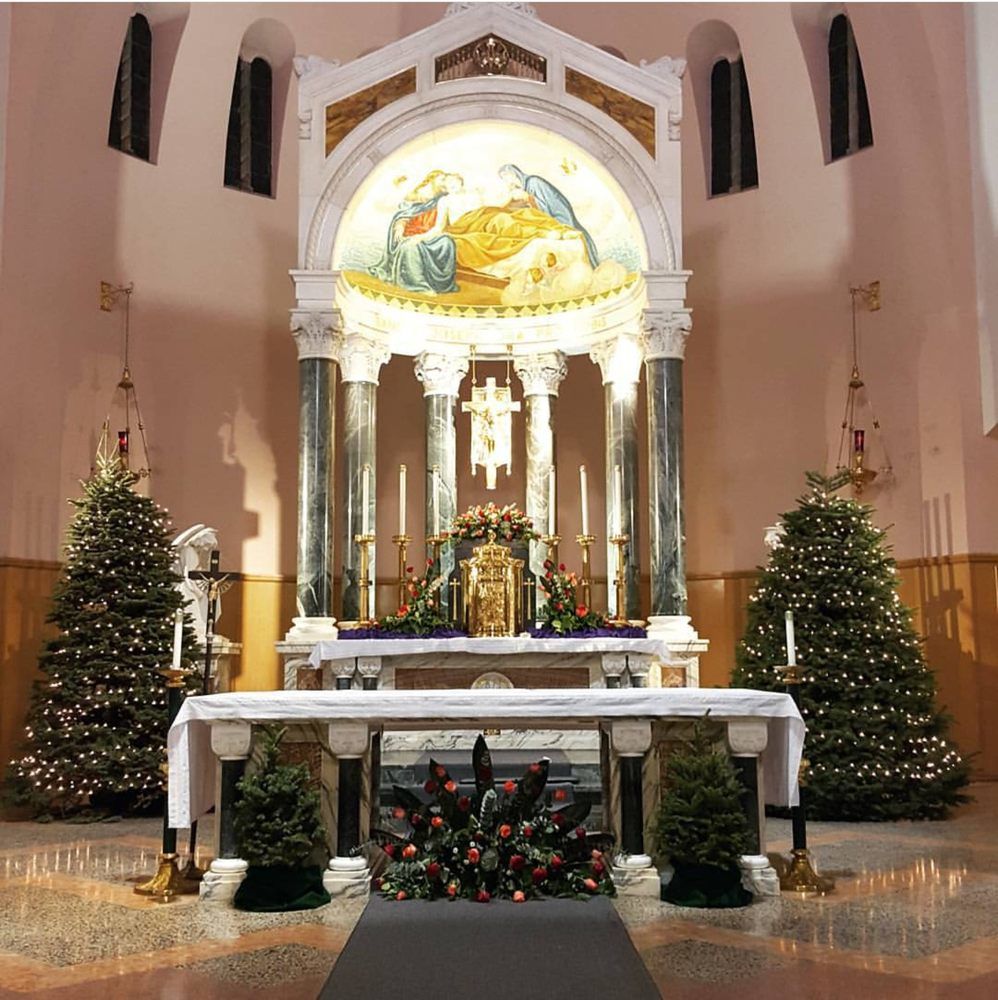 Đơn giản bằng những cây thông nhỏ xinh đã khiến nhà thờ trần ngập giáng sinh
