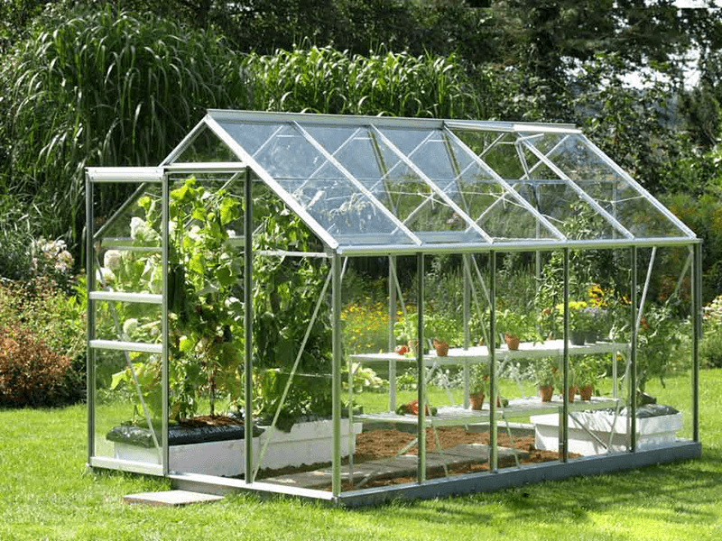 4 bước cơ bản để xây dựng mô hình trồng rau tại nhà hiệu quả