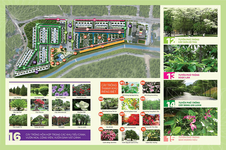 Quy hoạch cây xanh và tuyến đường dự án Zen Village Hòa Bình