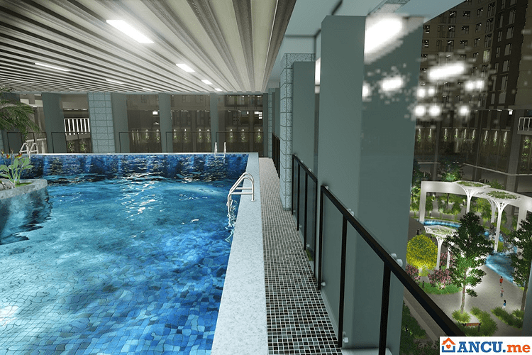 Bể bơi trong nhà dự án chung cư VP4 Linh Đàm