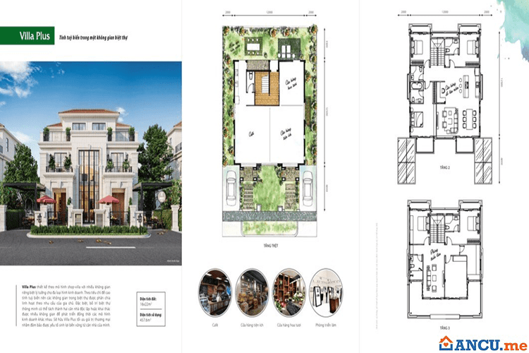 Thiết kế mẫu Villa Plus dự án Cửa Lò Beach Villa