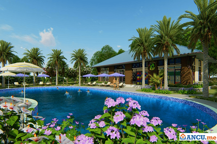 Bể bơi nội khu dự án Green Oasis Villas