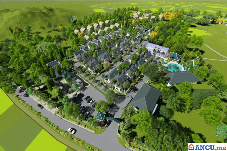 Tổng quan dự án Green Oasis Villas
