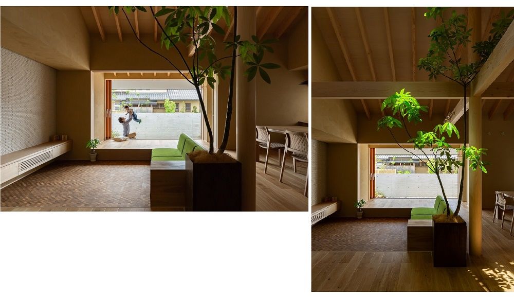 Phòng khách có đặt một chậu cây xanh và hướng ra khu vườn sau nhà