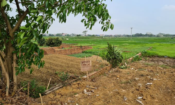 Một lô đất nền ở xã Đồng Trúc, huyện Thạch Thất (Hà Nội) được rao bán vào cuối tháng 3/2020