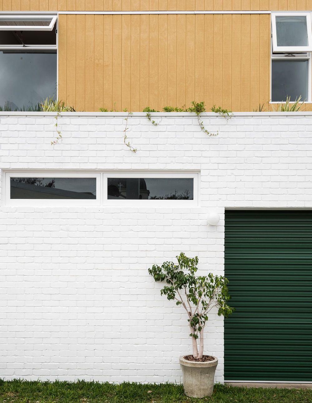 Mảng tường trắng cùng cây xanh bên trên tạo nét bình dị ngay từ bên ngoài ngôi nhà