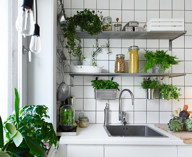 Trang trí cây xanh trong nhà bếp trên kệ và gắn tường gần bồn rửa vừa đẹp lại giúp cây tươi tốt