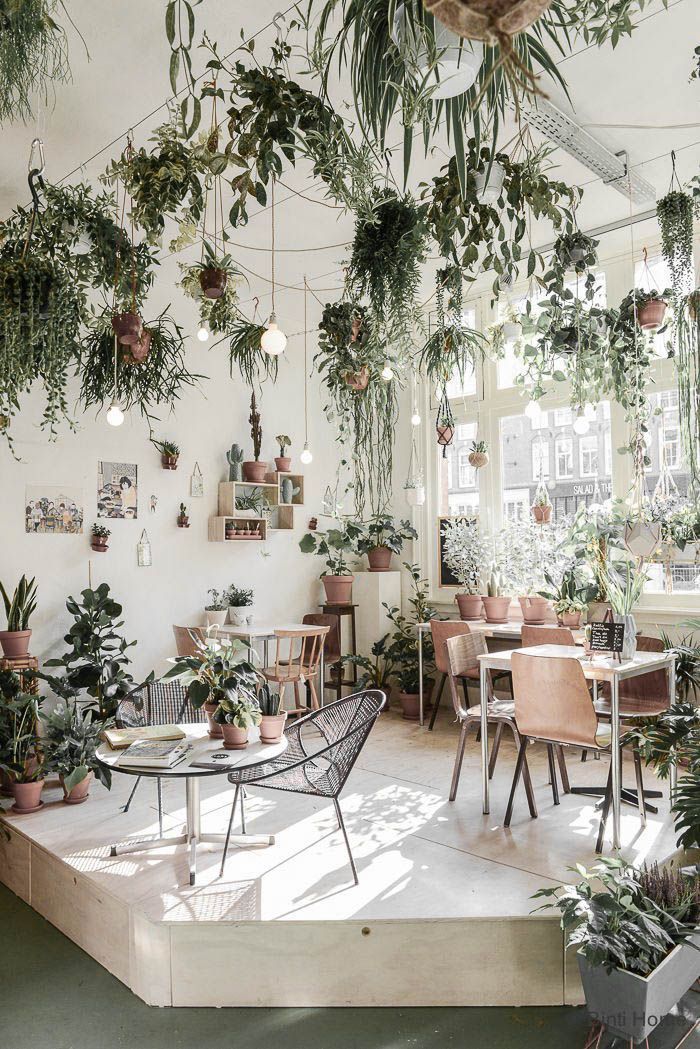 Cách thiết kế quán cafe nhỏ với bàn ghế nhỏ xinh và các chậu cây xanh mát