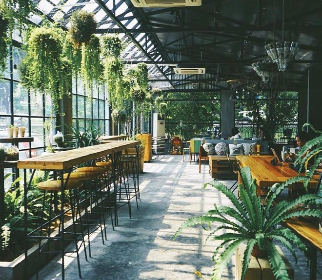 Thiết kế quán cafe cây xanh tươi mát hút mọi ánh nhìn
